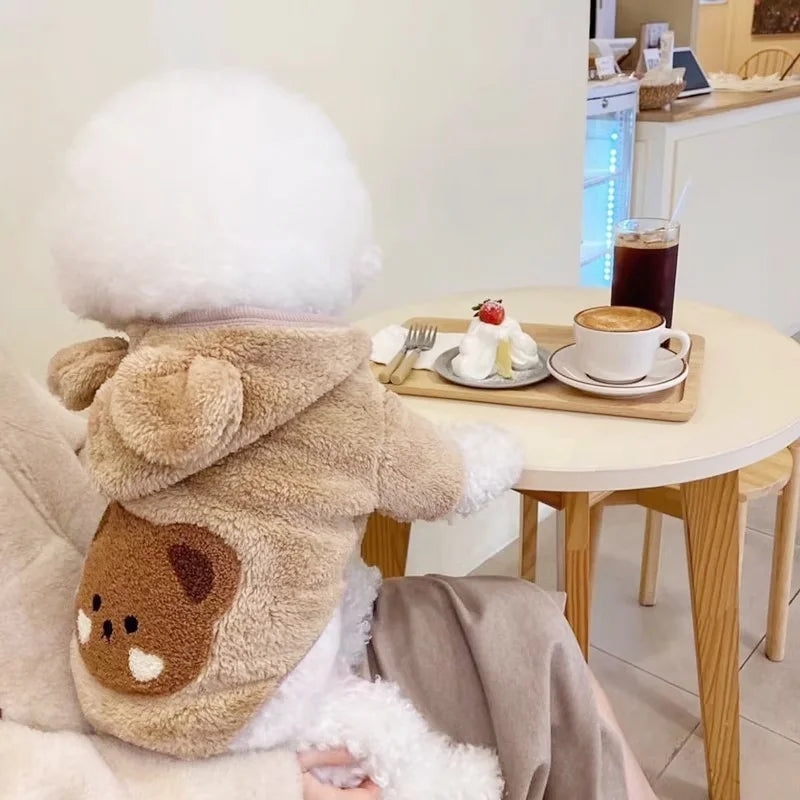 Teddypullover für Hunde und Katzen