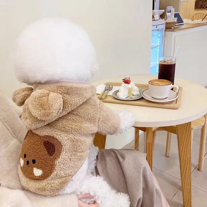 Teddypullover für Hunde und Katzen