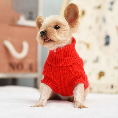 Rollkragenpullover für Hunde und Katzen mit Style