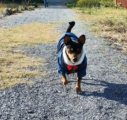 Winterjacke für Hunde und Katzen