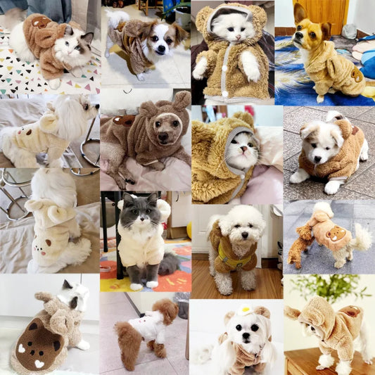 Teddypullover für Hunde und Katzen