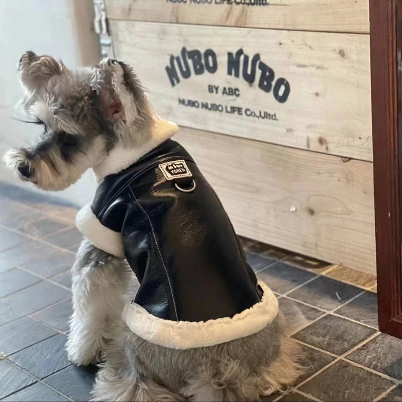 Lederjacke für Hunde und Katzen