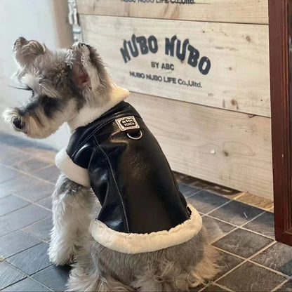 Lederjacke für Hunde und Katzen