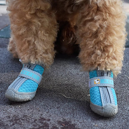 Haustierschuhe