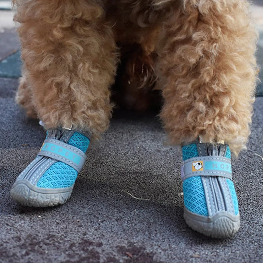 Haustierschuhe