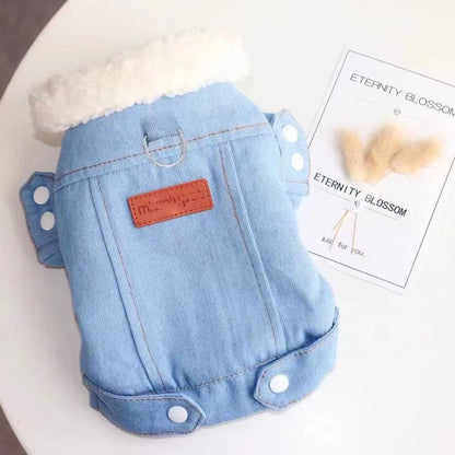 Winterjacke für Hunde und Katzen