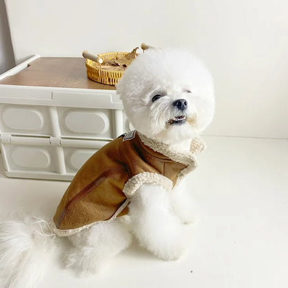 Lederjacke für Hunde und Katzen