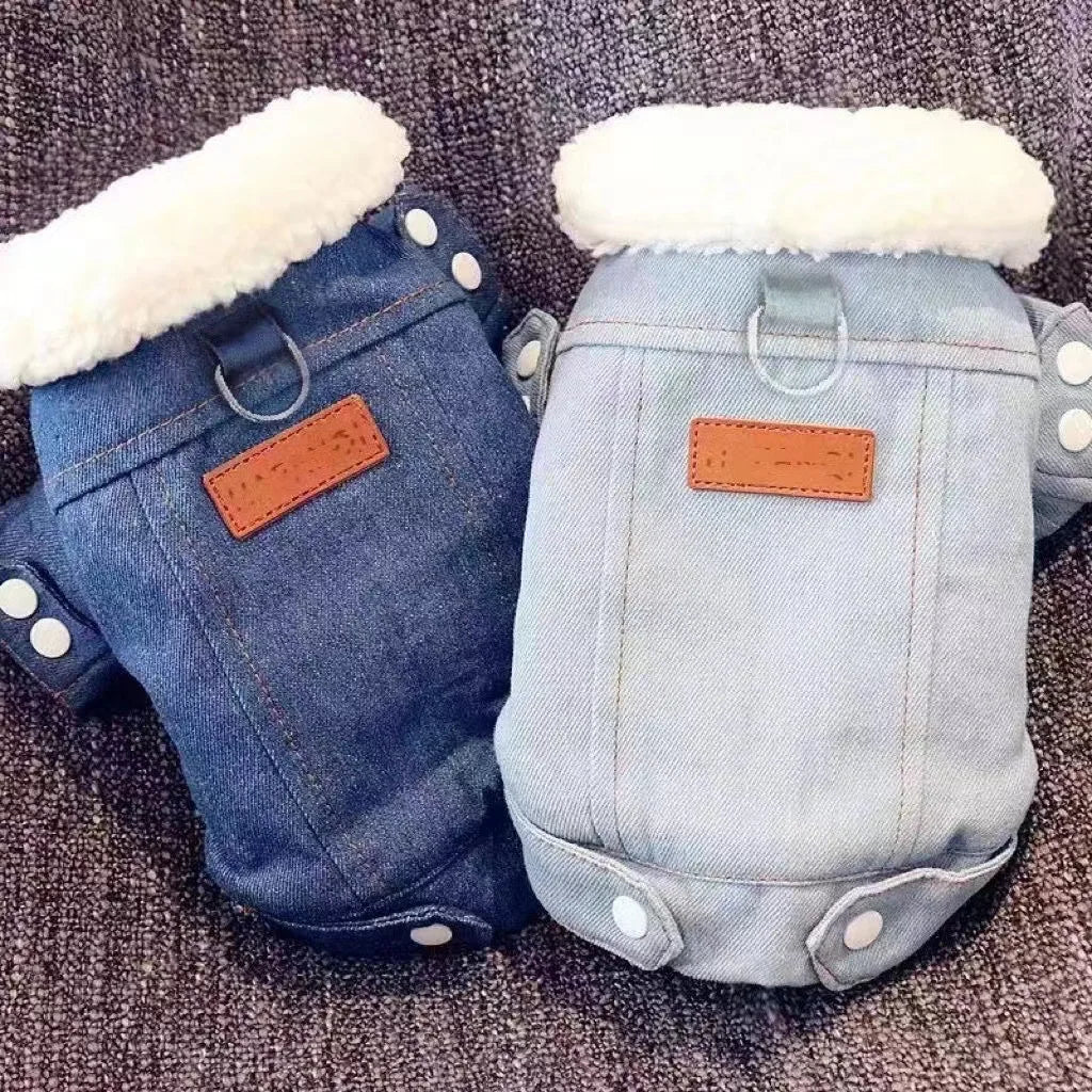Winterjacke für Hunde und Katzen
