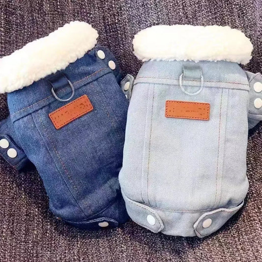 Winterjacke für Hunde und Katzen