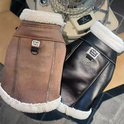 Lederjacke für Hunde und Katzen