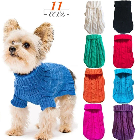 Rollkragenpullover für Hunde und Katzen mit Style