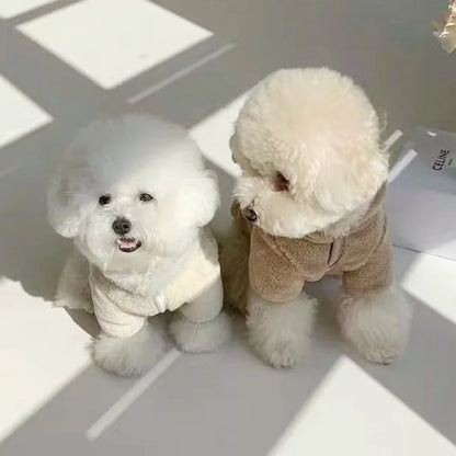 Teddypullover für Hunde und Katzen