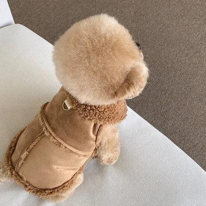 Herbstjacke für Hunde und Katzen