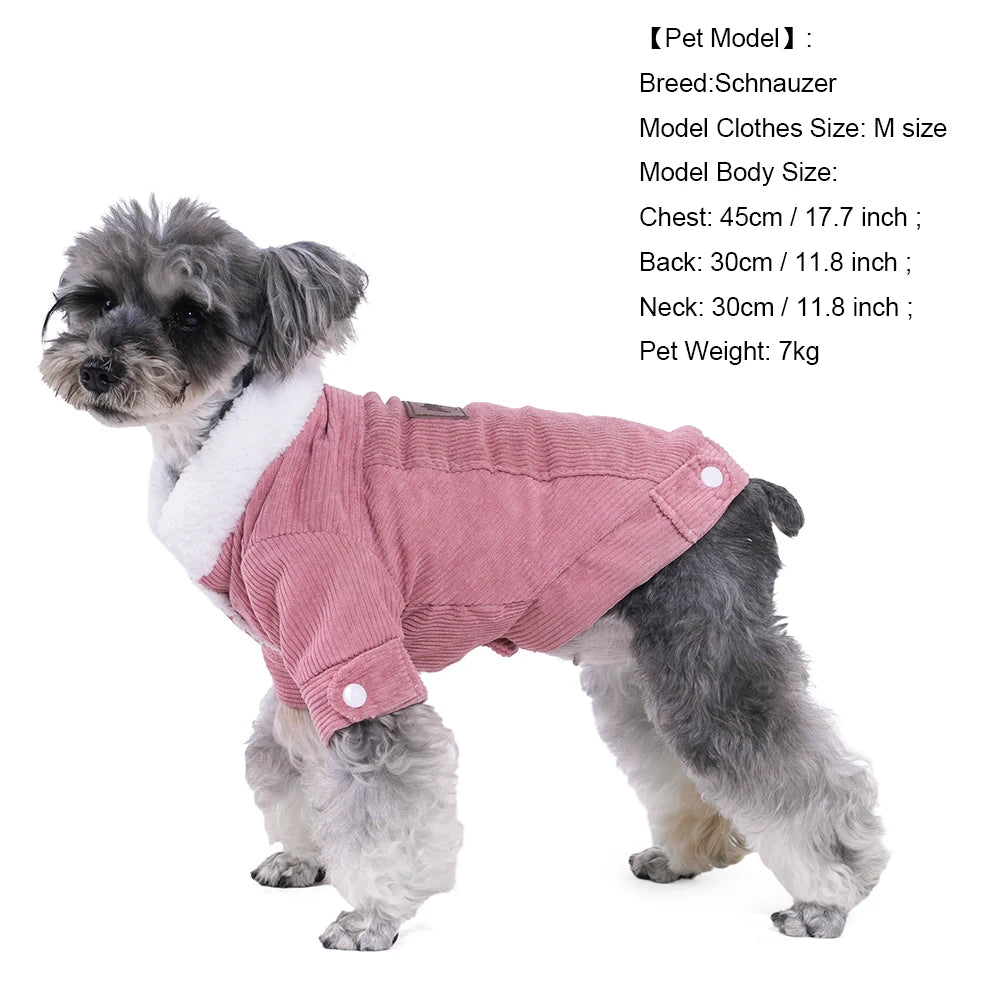 Jäckchen für Hunde und Katzen mit Style