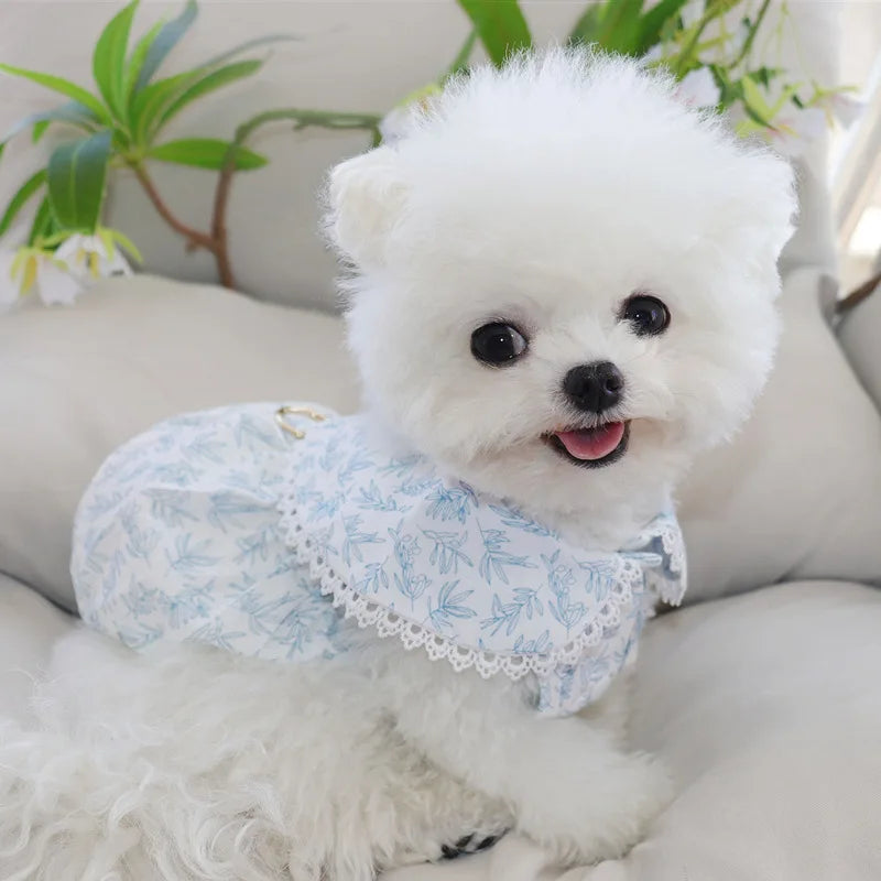 Frühlingsweste für Hunde