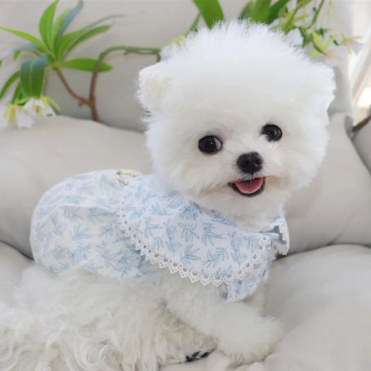 Frühlingsweste für Hunde