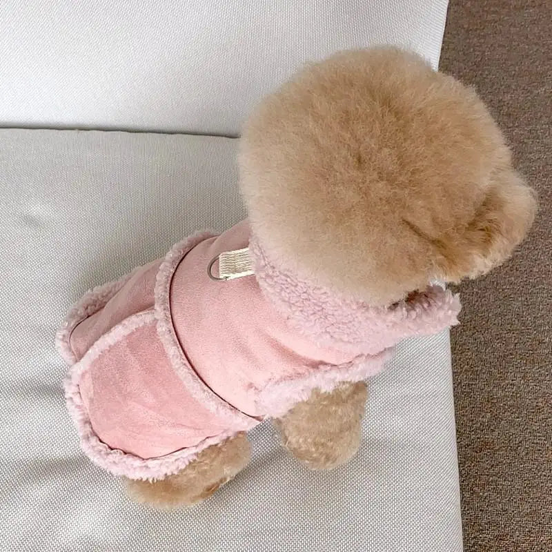 Herbstjacke für Hunde und Katzen