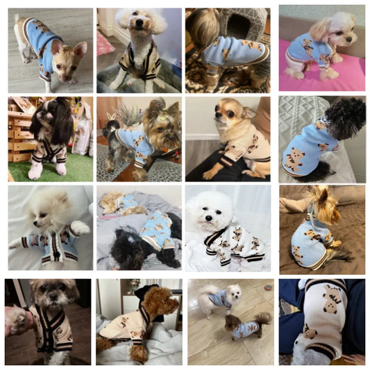 Strickjacke für Hunde und Katzen